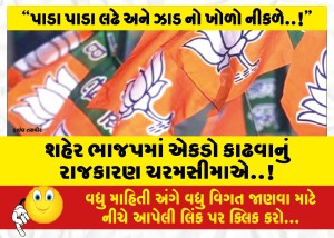 શહેર ભાજપમાં એકડો કાઢવાનું રાજકારણ ચરમસીમાએ..!