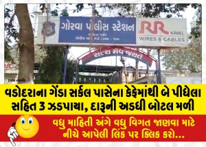 વડોદરાના ગેંડા સર્કલ પાસેના કેફેમાંથી બે પીધેલા સહિત 3 ઝડપાયા, દારૂની અડધી બોટલ મળી