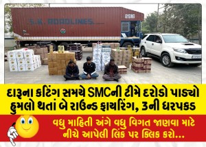 દારૂના કટિંગ સમયે SMCની ટીમે દરોડો પાડ્યો હુમલો થતાં બે રાઉન્ડ ફાયરિંગ, 3ની ધરપકડ
