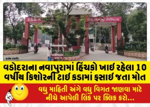 વડોદરાના નવાપુરામાં હિંચકો ખાઇ રહેલા 10 વર્ષીય કિશોરની ટાઇ કડામાં ફસાઇ જતા મોત