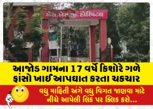 આજોડ ગામના 17 વર્ષે કિશોરે ગળે ફાંસો ખાઈ આપઘાત કરતા ચકચાર