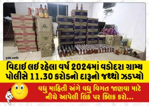 વિદાઇ લઇ રહેલા વર્ષ 2024માં વડોદરા ગ્રામ્ય પોલીસે 11.30 કરોડનો દારૂનો જથ્થો ઝડપ્યો