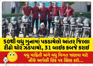 50થી વધુ ગુનામાં પકડાયેલો આંતર જિલ્લા રીઢો ચોર ઝડપાયો, 31 બાઇક કબજે કરાઇ