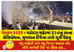 વેલકમ 2025 : વડોદરા શહેરમાં 31stનું ગ્રાન્ડ સેલિબ્રેશન, યુવાધન ડીજેના તાલે ઝૂમી ઉઠ્યું