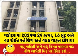 વડોદરામાં 2024માં 29 હત્યા, 16 લૂંટ અને 43 ચેઈન સ્નેચિંગ અને 485 વાહન ચોરાયા
