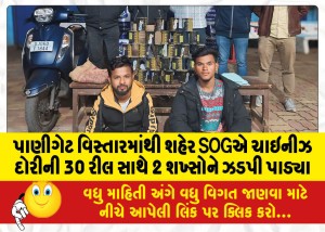 પાણીગેટ વિસ્તારમાંથી શહેર SOGએ ચાઇનીઝ દોરીની 30 રીલ સાથે 2 શખ્સોને ઝડપી પાડ્યા