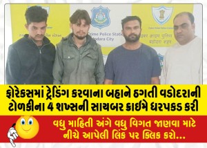 ફોરેકસમાં ટ્રેડિંગ કરવાના બહાને ઠગતી વડોદરાની ટોળકીના 4 શખ્સની સાયબર ક્રાઇમે ધરપકડ કરી