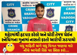 શહેરમાંથી હદપાર કરેલો અને ચોરી તેમજ ચેઇન સ્નેચિંગના ગુનામાં નાસતો ફરતો આરોપી ઝડપાયો