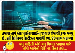 તમારા નામે એક પાર્સલ ચાઈના જાય છે જેમાંથી ડ્રગ્સ મળ્યું છે, કહી સિનિયર સિટીઝન પાસેથી 90.90 લાખ પડાવ્યા