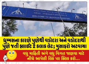ધુમ્મસના કારણે પુણેથી વડોદરા અને વડોદરાથી પુણે જતી ફ્લાઈટ 2 કલાક લેટ; મુસાફરો અટવાયા