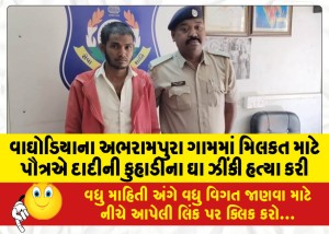વાઘોડિયાના અભરામપુરા ગામમાં મિલકત માટે પૌત્રએ દાદીની કુહાડીના ઘા ઝીંકી હત્યા કરી