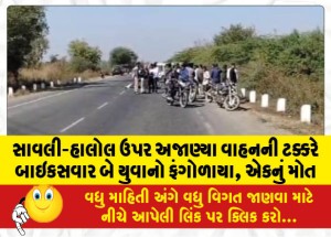 સાવલી-હાલોલ ઉપર અજાણ્યા વાહનની ટક્કરે બાઇકસવાર બે યુવાનો ફંગોળાયા, એકનું મોત
