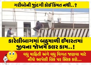 કારેલીબાગમાં બહુમાળી ઈમારતમાં જીવના જોખમે કલર કામ..!