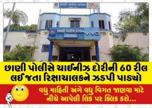 છાણી પોલીસે ચાઈનીઝ દોરીની 60 રીલ લઈ જતા રિક્ષાચાલકને ઝડપી પાડ્યો