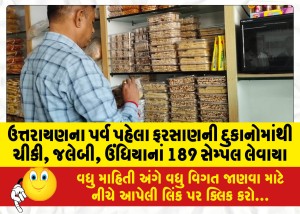 ઉત્તરાયણના પર્વ પહેલા ફરસાણની દુકાનોમાંથી ચીકી, જલેબી, ઉંધિયાનાં 189 સેમ્પલ લેવાયા