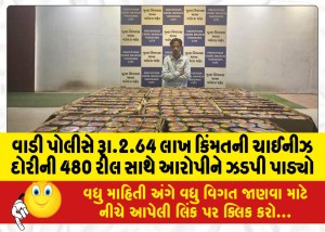 વાડી પોલીસે રૂા.2.64 લાખ કિંમતની ચાઈનીઝ દોરીની 480 રીલ સાથે આરોપીને ઝડપી પાડ્યો