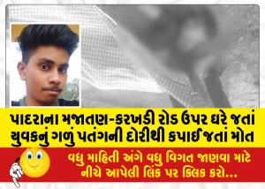 પાદરાના મજાતણ-કરખડી રોડ ઉપર ઘરે જતાં યુવકનું ગળું પતંગની દોરીથી કપાઈ જતાં મોત