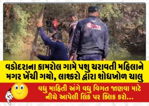MailVadodara.com - Cattle-grazer-woman-dragged-by-crocodile-in-Kamarol-village-of-Vadodara-search-by-army-continues