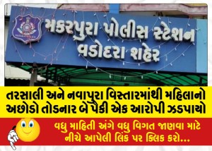 MailVadodara.com - One-of-the-two-accused-who-broke-the-woman-achhodo-was-caught-from-Tarsali-and-Navapura-areas