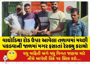 MailVadodara.com - A-crocodile-was-rescued-after-it-got-caught-in-a-mosquito-net-in-a-pond-on-Waghodia-road