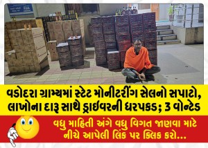 વડોદરા ગ્રામ્યમાં સ્ટેટ મોનીટરીંગ સેલનો સપાટો, લાખોના દારૂ સાથે ડ્રાઇવરની ધરપકડ; 3 વોન્ટેડ