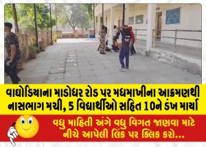 વાઘોડિયાના માડોધર રોડ પર મધમાખીના આક્રમણથી નાસભાગ મચી, 5 વિદ્યાર્થીઓ સહિત 10ને ડંખ માર્યા