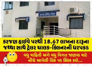 કરજણ હાઇવે પરથી 18.67 લાખના દારૂના જથ્થા સાથે ટ્રેલર ચાલક-ક્લિનરની ધરપકડ