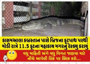 કાસમઆલા કબ્રસ્તાન પાસે બ્રિજના ફૂટપાથ પરથી મોડી રાત્રે 11.5 ફૂટના મહાકાય મગરનું રેસ્ક્યુ કરાયું