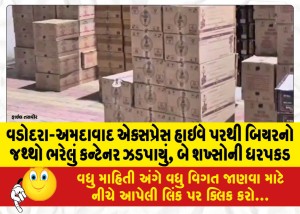 વડોદરા-અમદાવાદ એક્સપ્રેસ હાઇવે પરથી બિયરનો જથ્થો ભરેલું કન્ટેનર ઝડપાયું, બે શખ્સોની ધરપકડ