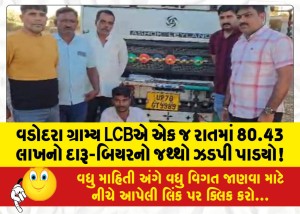 વડોદરા ગ્રામ્ય LCBએ એક જ રાતમાં 80.43 લાખનો દારૂ-બિયરનો જથ્થો ઝડપી પાડયો!