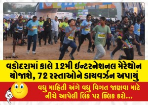વડોદરામાં કાલે 12મી ઇન્ટરનેશનલ મેરેથોન યોજાશે, 72 રસ્તાઓને ડાયવર્ઝન અપાયું