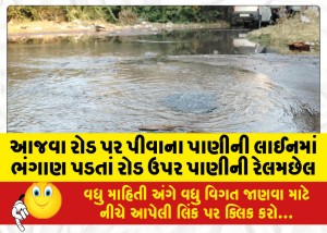 આજવા રોડ પર પીવાના પાણીની લાઈનમાં ભંગાણ પડતાં રોડ ઉપર પાણીની રેલમછેલ