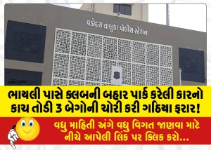 ભાયલી પાસે ક્લબની બહાર પાર્ક કરેલી કારનો કાચ તોડી 3 બેગોની ચોરી કરી ગઠિયા ફરાર!