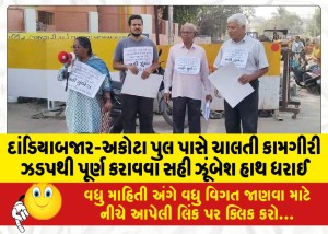 દાંડિયાબજાર-અકોટા પુલ પાસે ચાલતી કામગીરી ઝડપથી પૂર્ણ કરાવવા સહી ઝૂંબેશ હાથ ધરાઈ