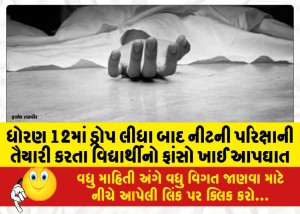 ધોરણ 12માં ડ્રોપ લીધા બાદ નીટની પરિક્ષાની તૈયારી કરતા વિદ્યાર્થીનો ફાંસો ખાઈ આપઘાત
