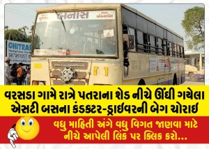 વરસડા ગામે રાત્રે પતરાના શેડ નીચે ઊંઘી ગયેલા એસટી બસના કંડક્ટર-ડ્રાઇવરની બેગ ચોરાઇ