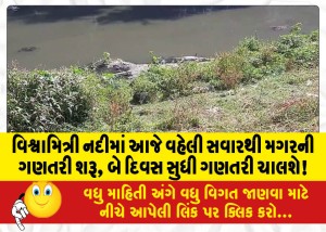 વિશ્વામિત્રી નદીમાં આજે વહેલી સવારથી મગરની ગણતરી શરૂ, બે દિવસ સુધી ગણતરી ચાલશે!