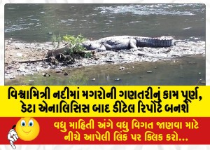 વિશ્વામિત્રી નદીમાં મગરોની ગણતરીનું કામ પૂર્ણ, ડેટા એનાલિસિસ બાદ ડીટેલ રિપોર્ટ બનશે
