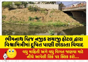 ભીમનાથ બ્રિજ નજીક સયાજી હોટલ દ્વારા વિશ્વામિત્રીમાં દૂષિત પાણી છોડાતા વિવાદ