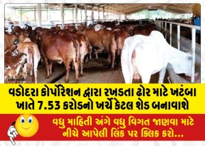 વડોદરા કોર્પોરેશન દ્વારા રખડતા ઢોર માટે ખટંબા ખાતે 7.53 કરોડનો ખર્ચે કેટલ શેડ બનાવાશે