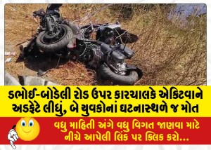 ડભોઈ-બોડેલી રોડ ઉપર કારચાલકે એક્ટિવાને અડફેટે લીધું, બે યુવકોનાં ઘટનાસ્થળે જ મોત