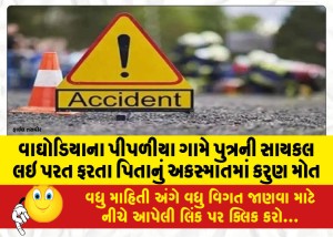વાઘોડિયાના પીપળીયા ગામે પુત્રની સાયકલ લઇ પરત ફરતા પિતાનું અકસ્માતમાં કરુણ મોત