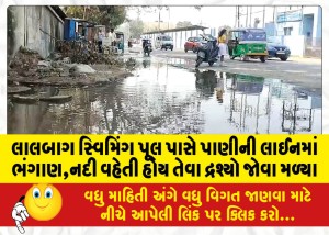 લાલબાગ સ્વિમિંગ પૂલ પાસે પાણીની લાઈનમાં ભંગાણ,નદી વહેતી હોય તેવા દ્રશ્યો જોવા મળ્યા