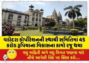 વડોદરા કોર્પોરેશનની સ્થાયી સમિતિમાં 45 કરોડ રૂપિયાના વિકાસના કામો રજૂ થયા