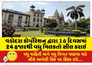 વડોદરા કોર્પોરેશન દ્વારા 16 દિવસમાં 24 હજારથી વધુ મિલકતો સીલ કરાઇ