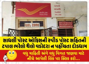 સાધલી પોસ્ટ ઓફિસની સ્પીડ પોસ્ટ સહિતની ટપાલ ભરેલો થેલો વડોદરા ન પહોંચતા દોડધામ