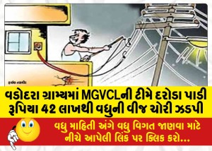 વડોદરા ગ્રામ્યમાં MGVCLની ટીમે દરોડા પાડી રૂપિયા 42 લાખથી વધુની વીજ ચોરી ઝડપી