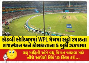 કોટંબી સ્ટેડિયમમાં WPL મેચમાં સટ્ટો રમાડતા રાજસ્થાન અને કોલકાતાના 5 બુકી ઝડપાયા