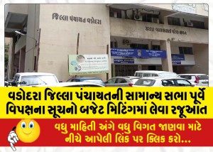 વડોદરા જિલ્લા પંચાયતની સામાન્ય સભા પૂર્વે વિપક્ષના સૂચનો બજેટ મિટિંગમાં લેવા રજૂઆત