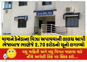 મામાને કેનેડાના વિઝા અપાવવાની લાલચ આપી ભેજાબાજ ભાણેજે 2.70 કરોડનો ચૂનો લગાવ્યો